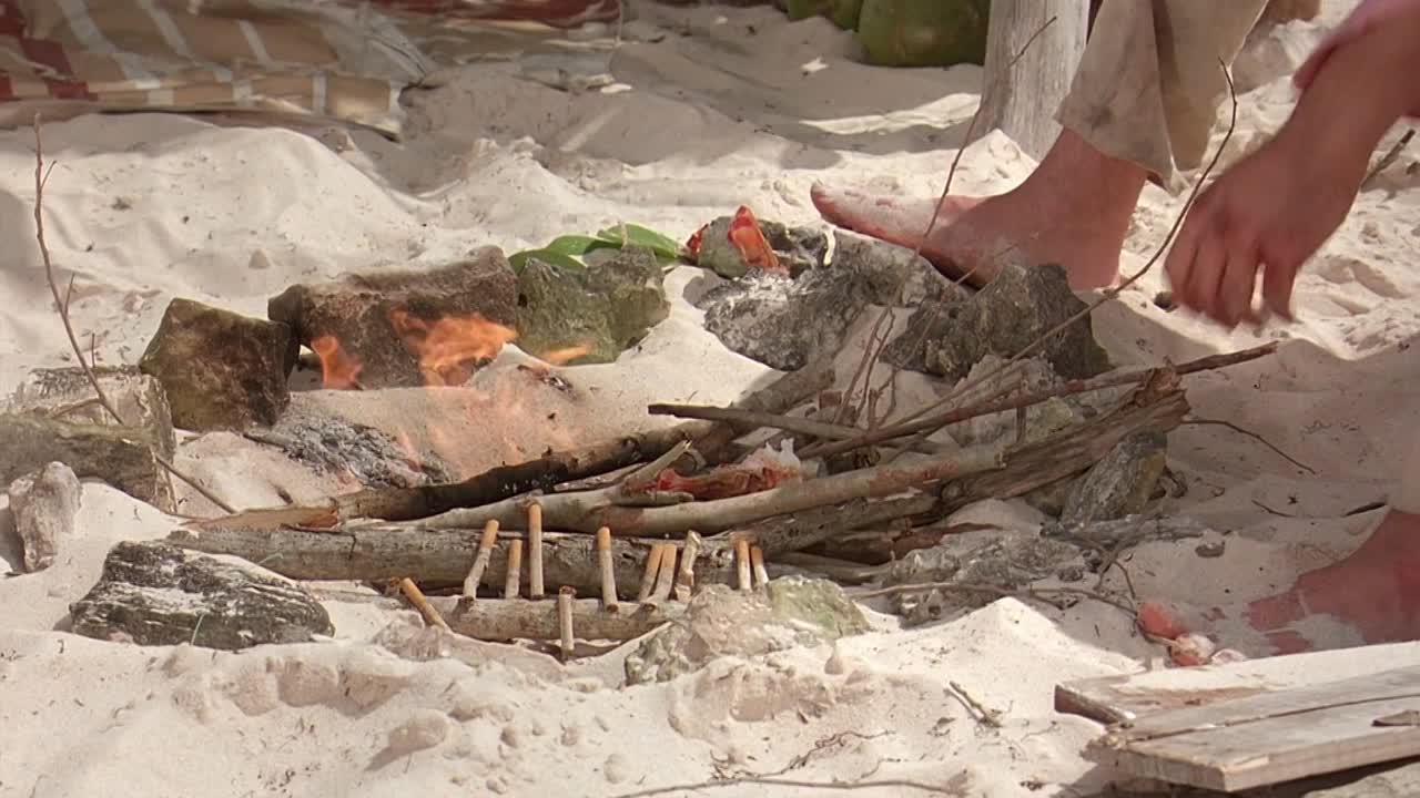 ⁣Survival Island 2005 1080p WEBRip x264 AAC5 1-