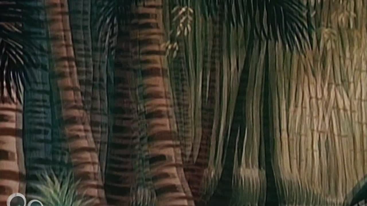 ⁣Goofy der Abenteurer 1957 GERMAN 1080p HDRip x264 AC3