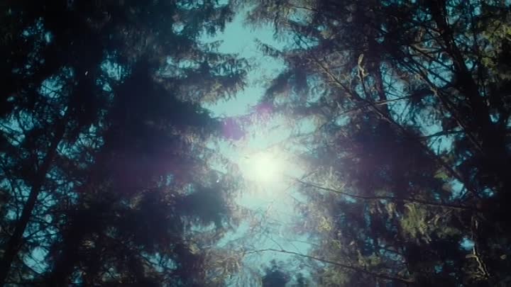 ⁣The Disappearance Of Kimmy Diore S01E06