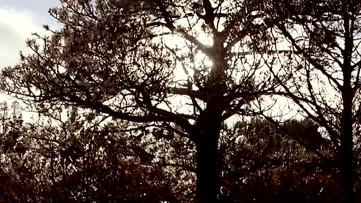 The Dalton Gang 2020 HDRip XviD AC3-EVO