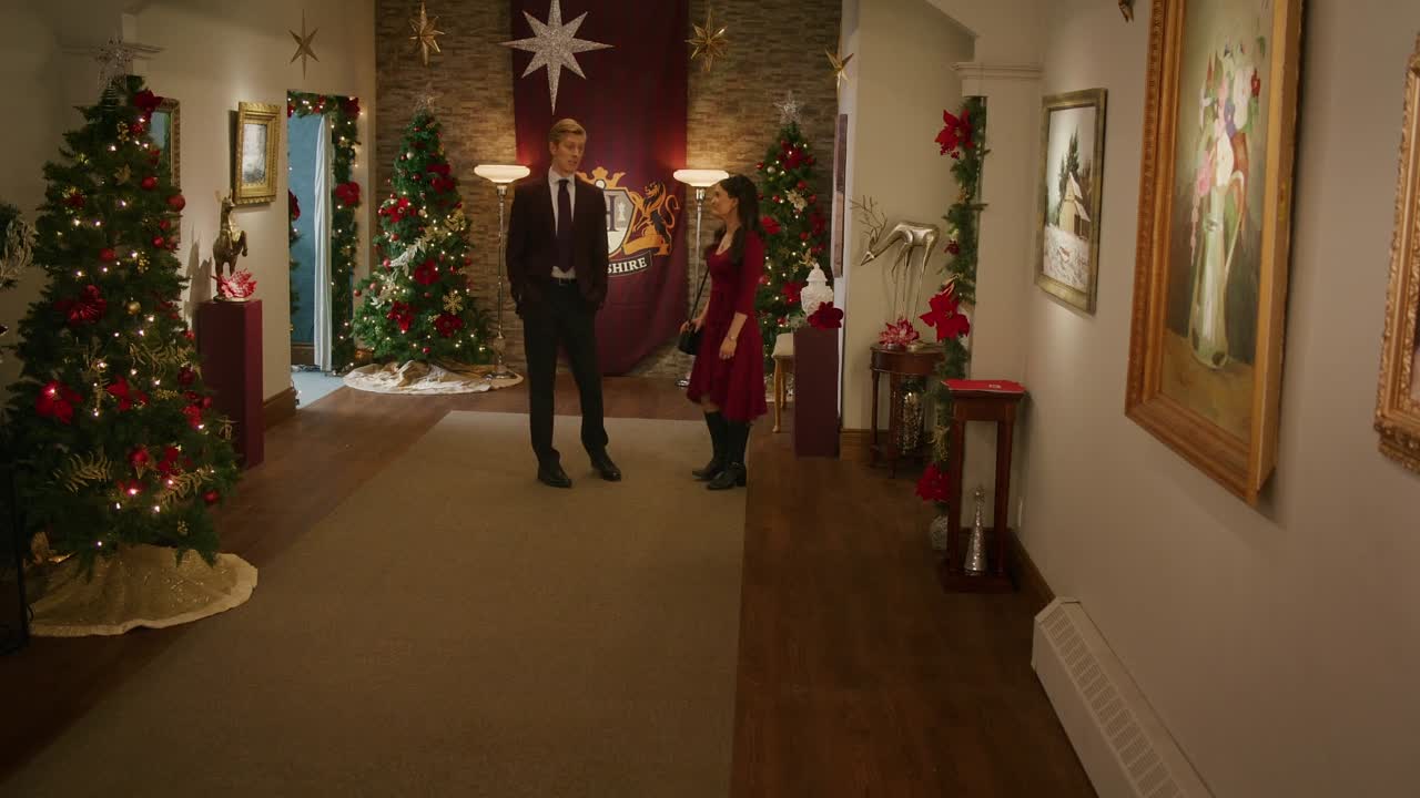 ⁣A Cinderella Christmas Ball 2024 1080p WEBRip x264 AAC5 1-