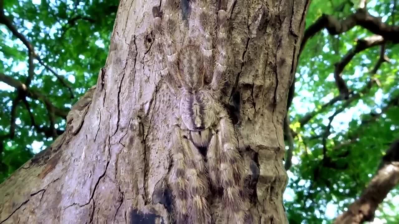 Mysterious Islands S01E06