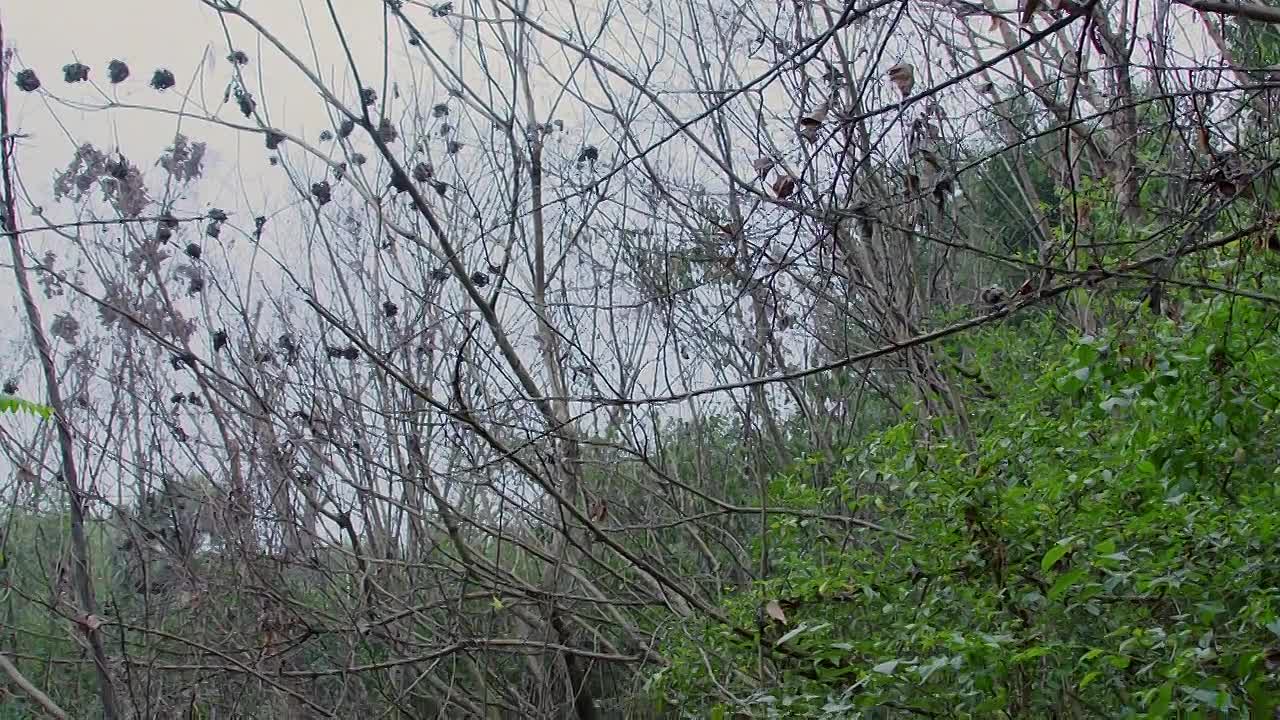 I t E F S01E04 Mountains