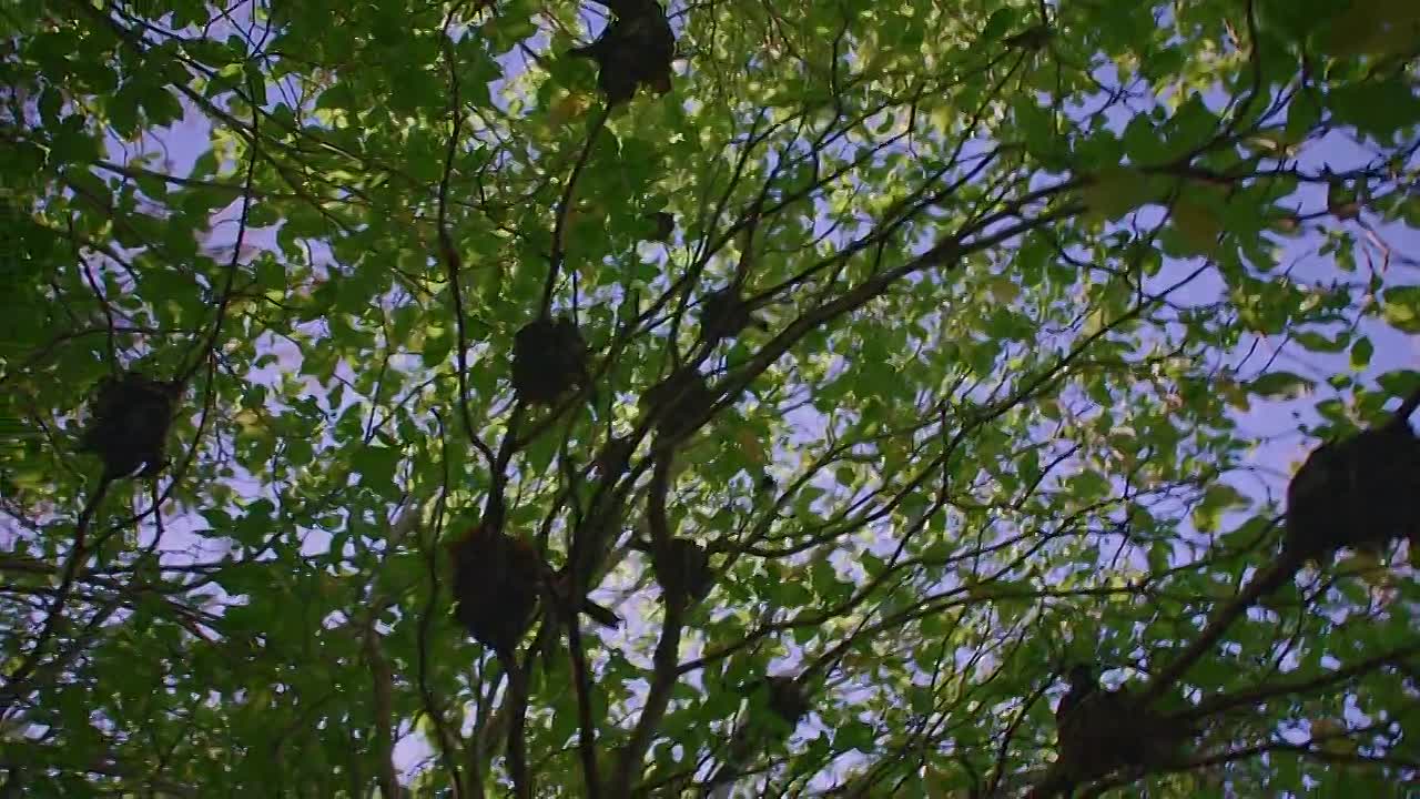 I t E F S01E06 Extreme