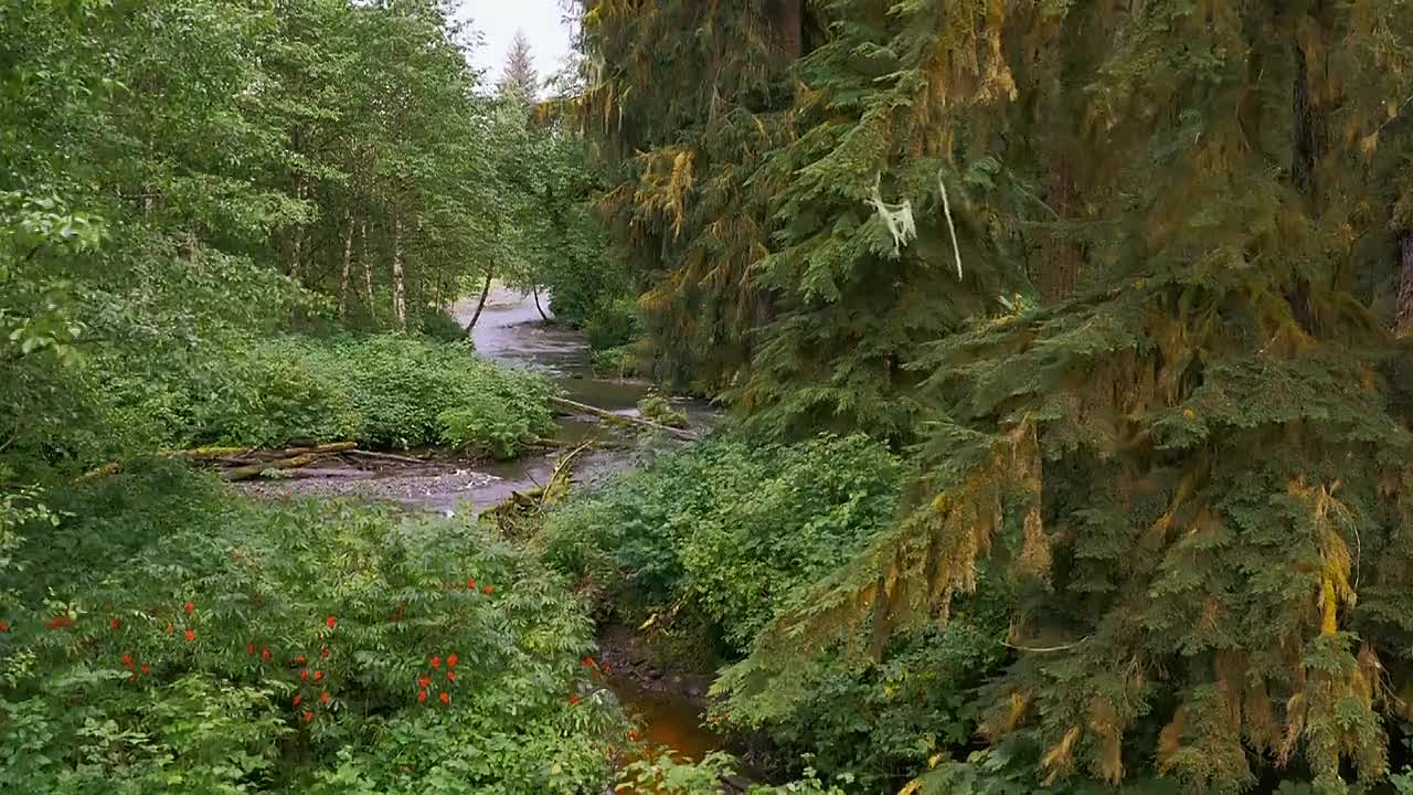 I t E F S01E02 Seasonal