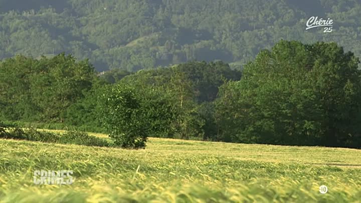CRIMES Panique dans Le Dauphine