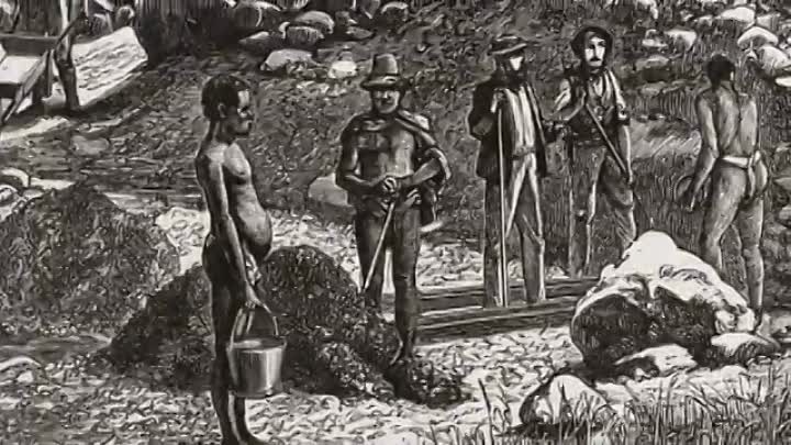 The Hunt for the Priceless Treasure of The Queen of Sheba