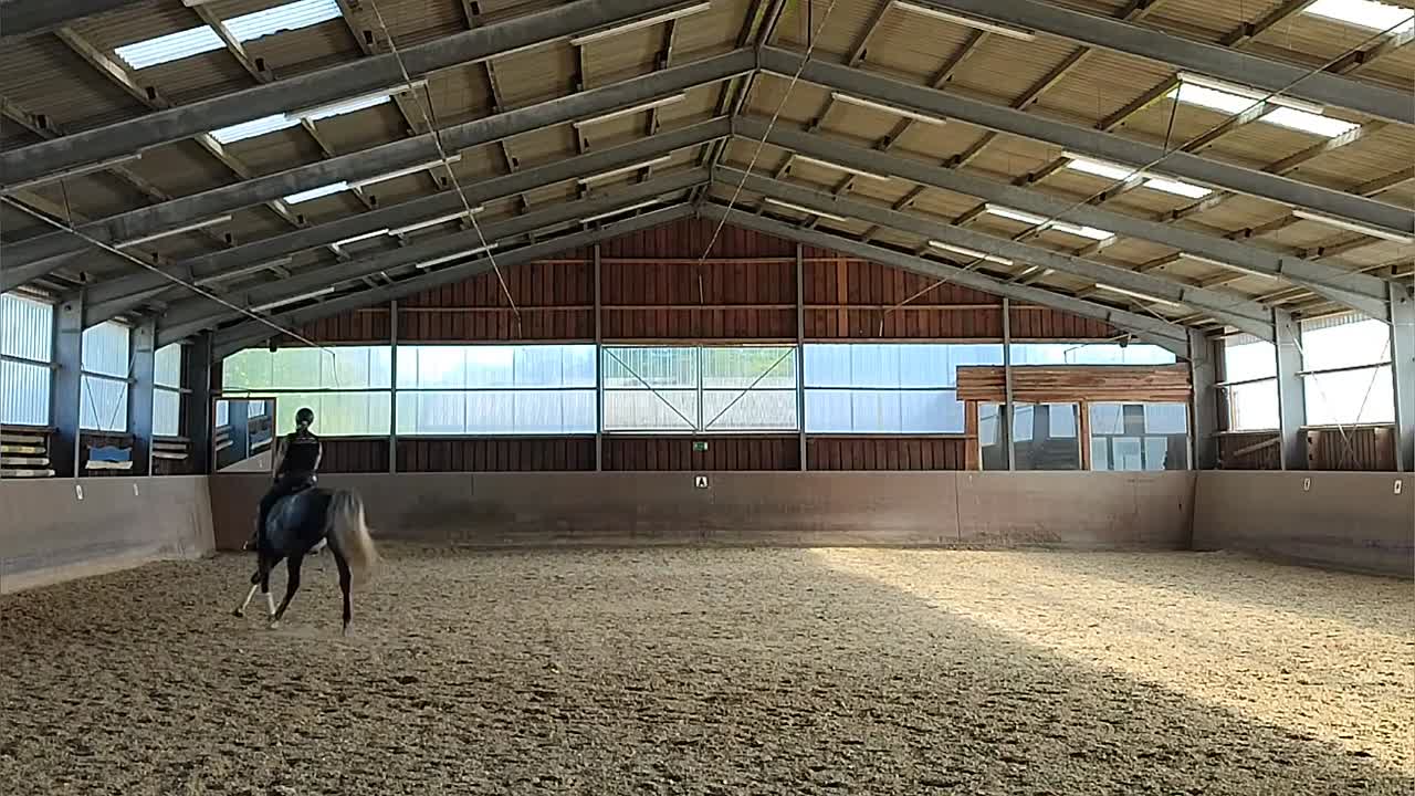 Auf dem Weg zur Versammlung¿! (1080p_30fps_H264-128kbit_AAC)