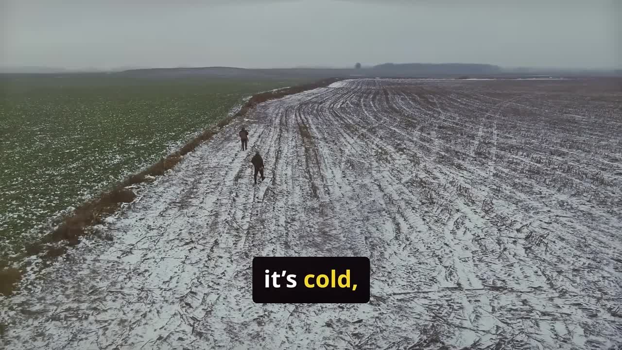 ⁣Why Half of THE USA is Empty -The 9-States Noone Lives In