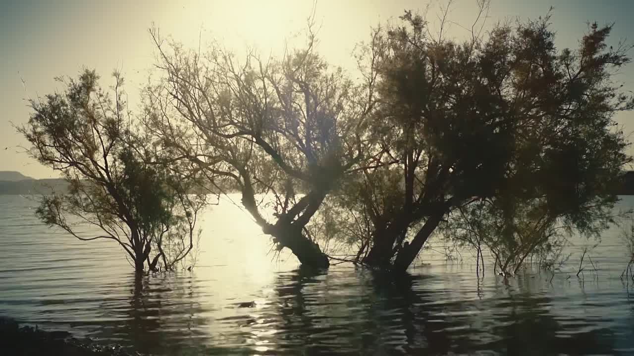 Jesus Crown of Thorns S01E04