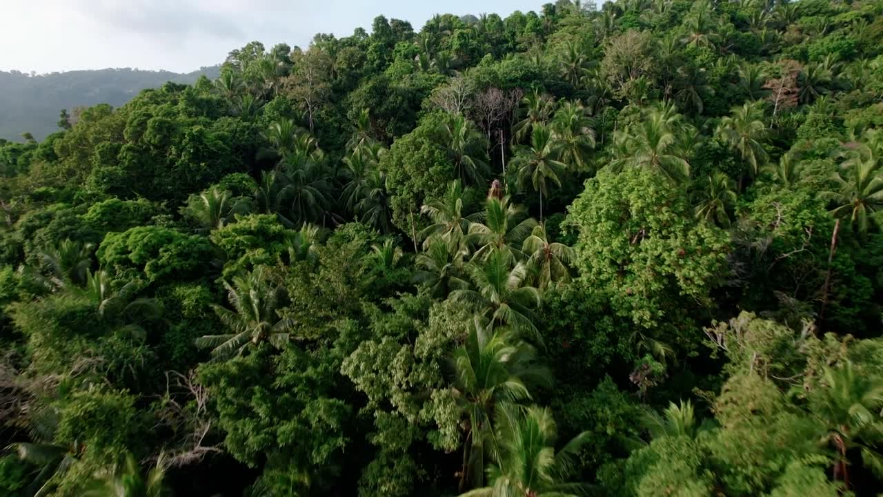 Finding Love In Saint Lucia 2024 1080p WEBRip x264 AAC5 1-