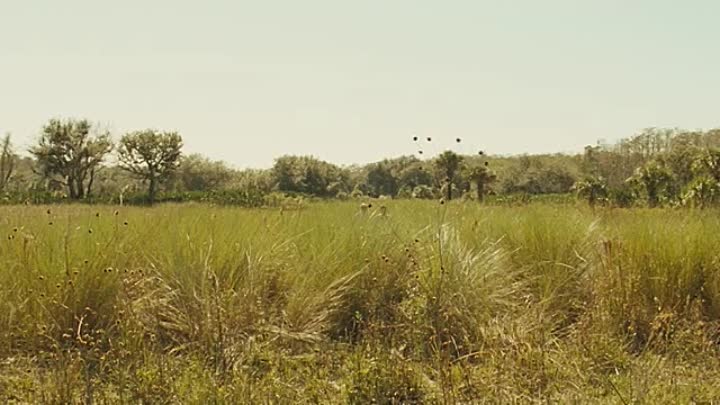 RTT 2009 FRENCH BRRip XviD AC3-NoTag