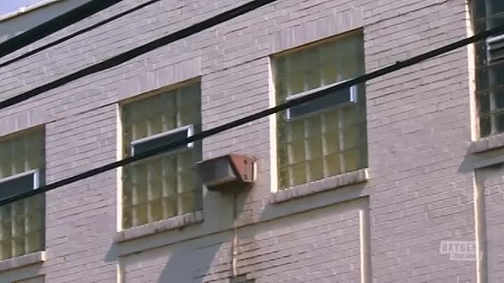 48 Mystery -A Predator Within