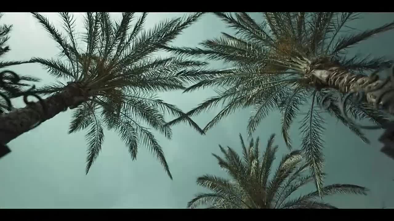 Echoes of The Past S01E06 -PTSD