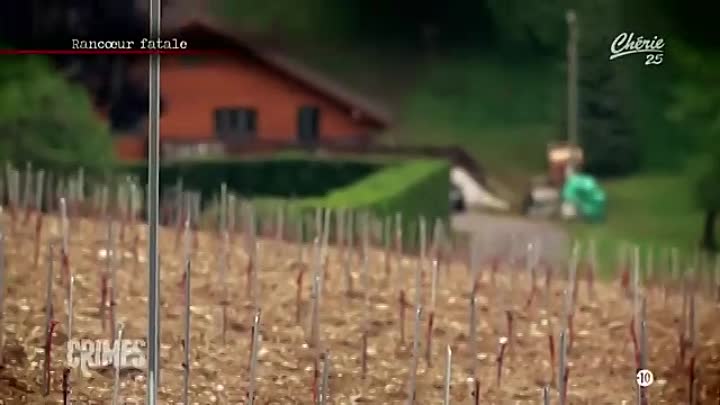 ⁣CRIMES -Peur sur la Suisse