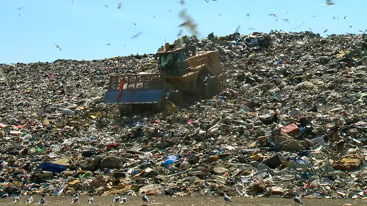 ⁣Crime Beat S06E07 -Deadly Rumours