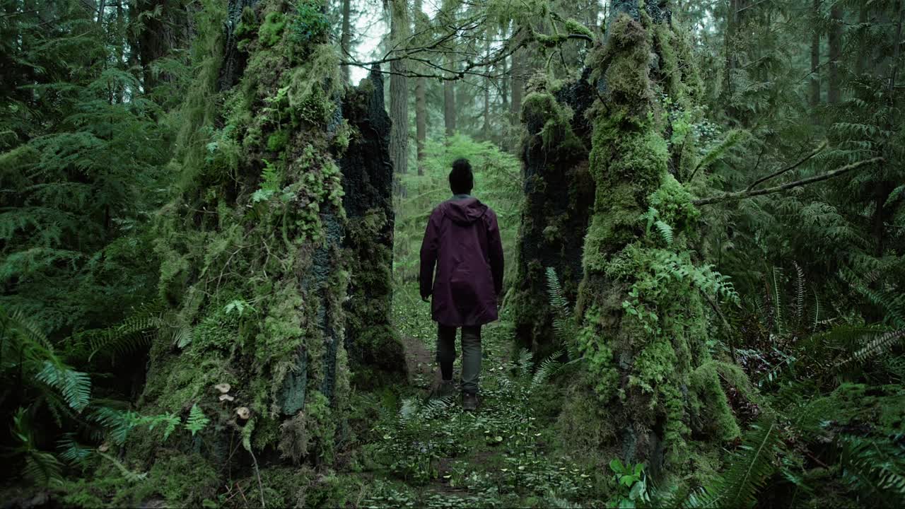 Parallel 2024 1080p BluRay x264 AAC5 1-