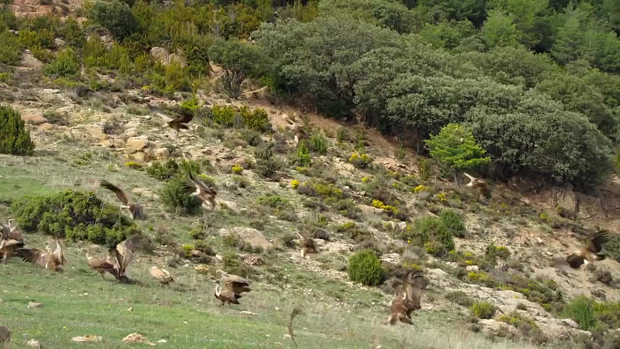 Airborne S01E02 In-Flight Meals
