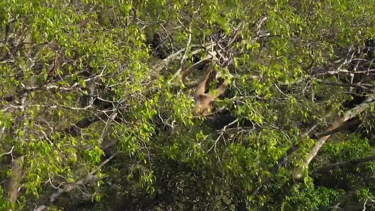 Airborne S01E04 Flight Path