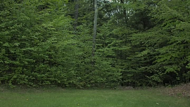 ⁣Silence and Darkness 2020 HDRip XviD AC3-EVO