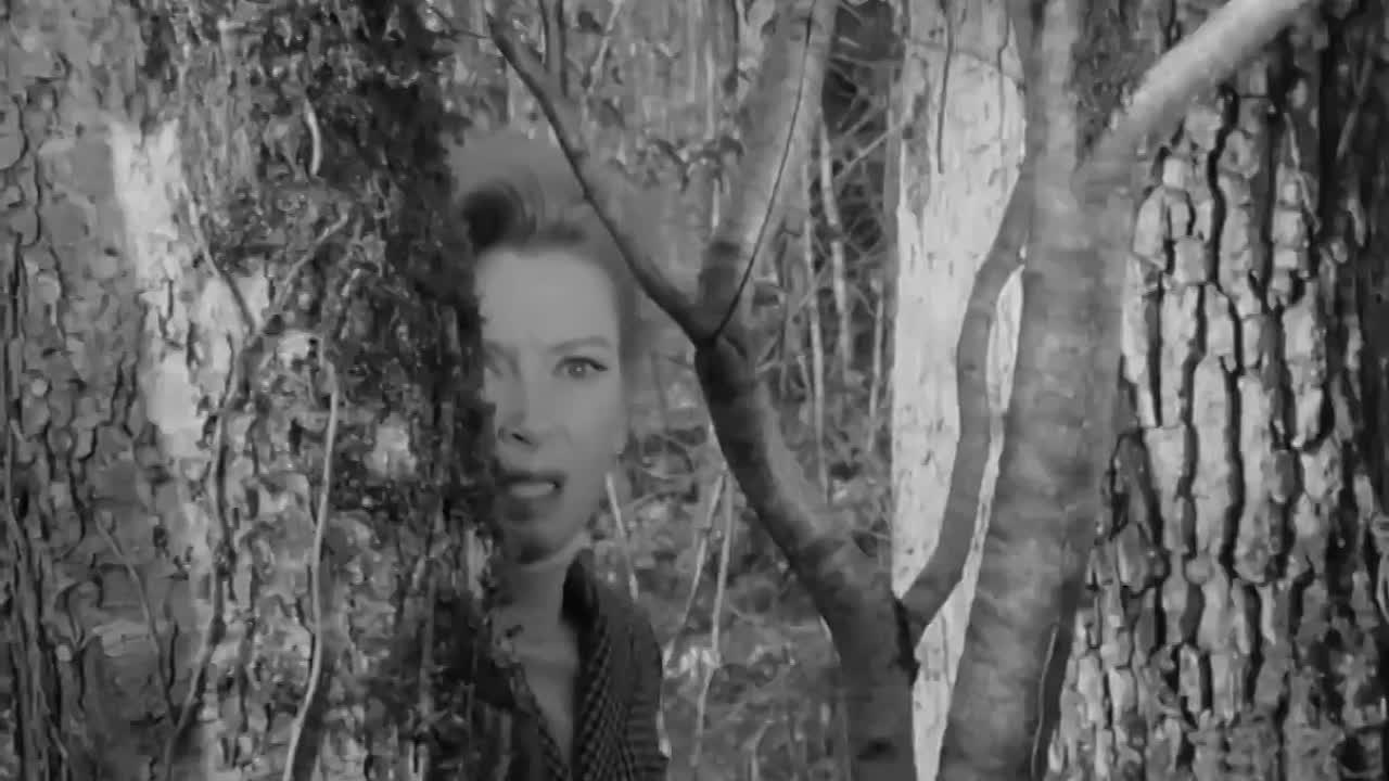 Eye of the Devil (1966)