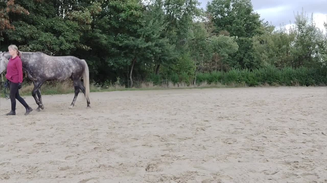 Bodenarbeit Erste Übungen (1080p_30fps_H264-128kbit_AAC)