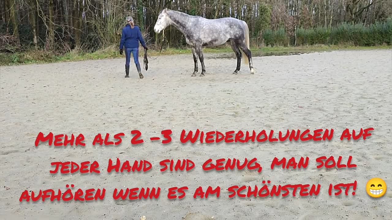 Bodenarbeit Weg weisen (1080p_30fps_H264-128kbit_AAC)