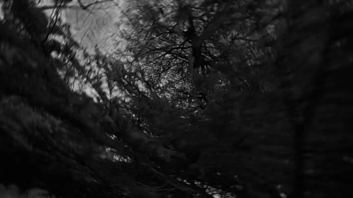 Jonathan Ross Haunted Homecoming S01E02