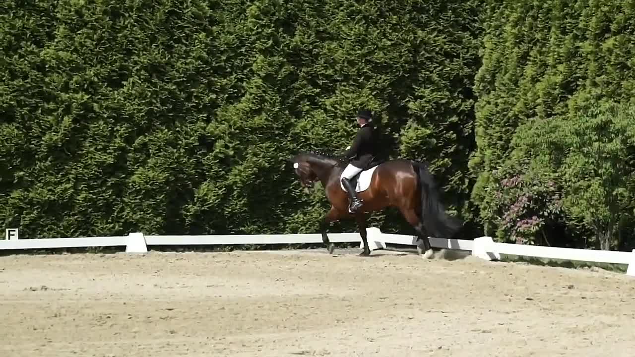 Der Fussungsbogen (720p_30fps_H264-128kbit_AAC)