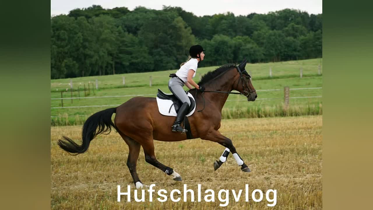 Der Grundsitz und die Gewichtshilfen des Reiters (1080p_30fps_H264-128kbit_AAC)