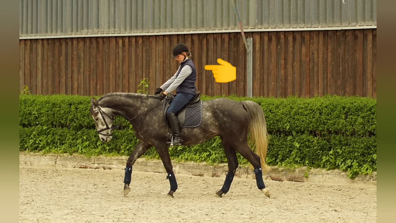 Der Kopf als Ursache von Reiterfehlern¿ (1080p_30fps_H264-128kbit_AAC)