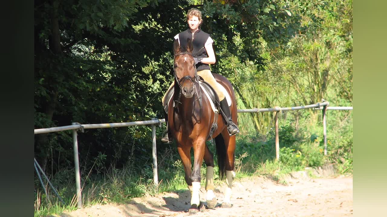 Der Sattel und das Pferd (1080p_30fps_H264-128kbit_AAC)