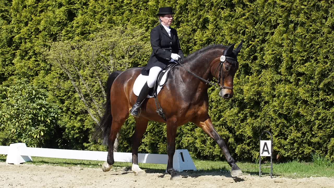 Der Sattel und der Reiter (1080p_30fps_H264-128kbit_AAC)