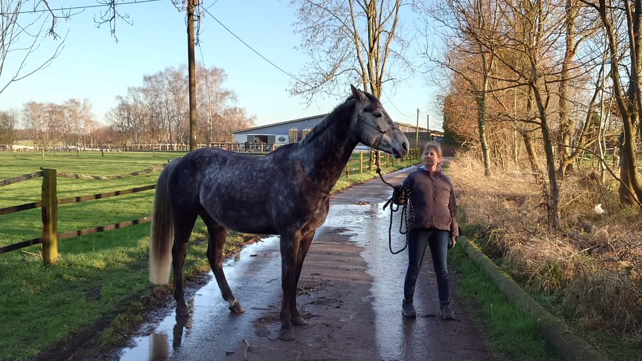 Die Bindung zum Pferd verbessern (1080p_30fps_H264-128kbit_AAC)