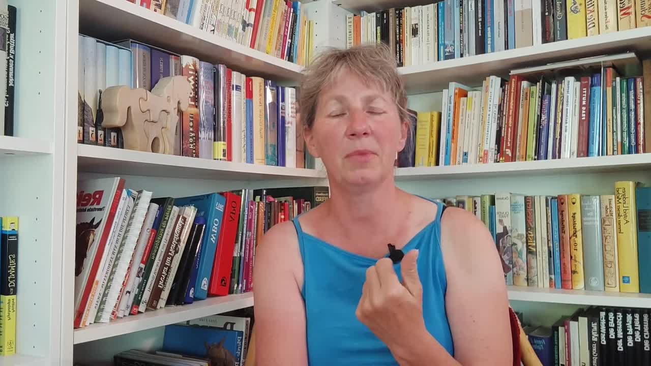 Die Lösungsphase Teil 2 (1080p_30fps_H264-128kbit_AAC)