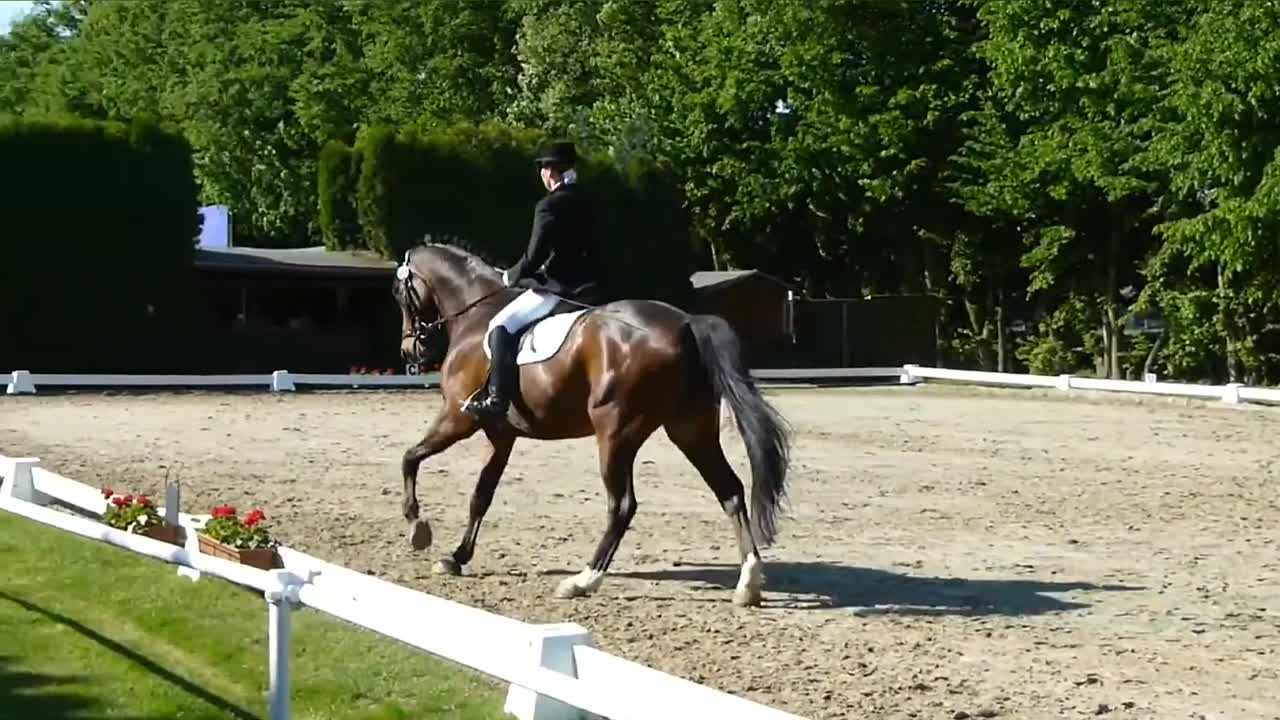 Einfacher Wechsel (1080p_30fps_H264-128kbit_AAC)