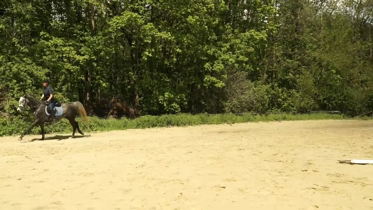 Entlastungssitz ⁄ Leichter Sitz ⁄ Springsitz (1080p_30fps_H264-128kbit_AAC)