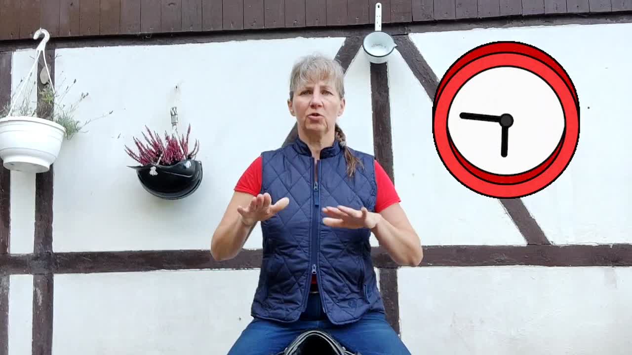 Erwachsenenreitunterricht Beweglichkeit im Becken verbessern (1080p_30fps_H264-128kbit_AAC)