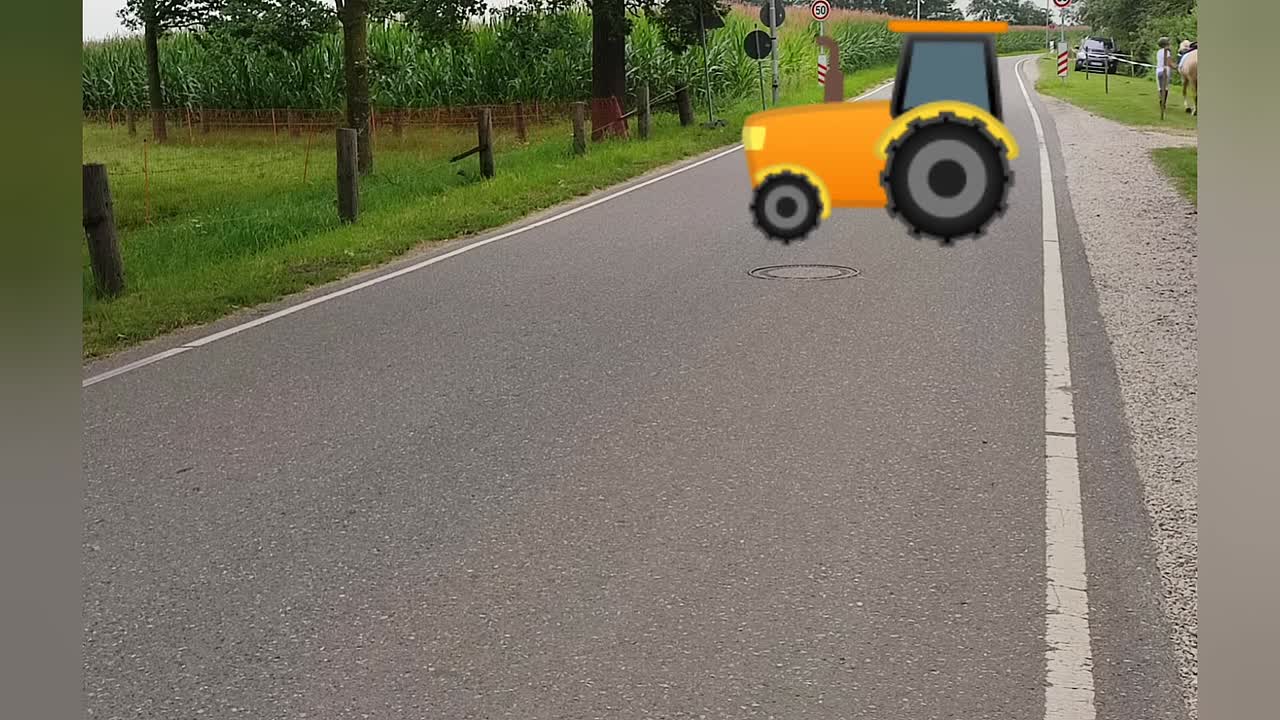 Geländereiten Teil 4 Pferd und Straßenverkehr (1080p_30fps_H264-128kbit_AAC)