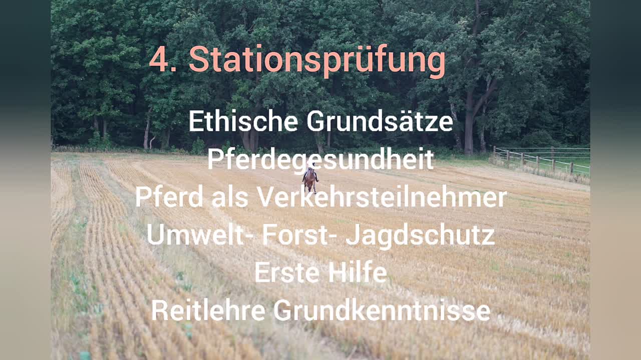 Geländereiten Teil 5 Pferdebasiswissen (1080p_30fps_H264-128kbit_AAC)