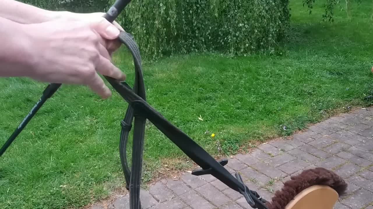 Grundsitz und Zügelhilfen des Reiters (1080p_30fps_H264-128kbit_AAC)