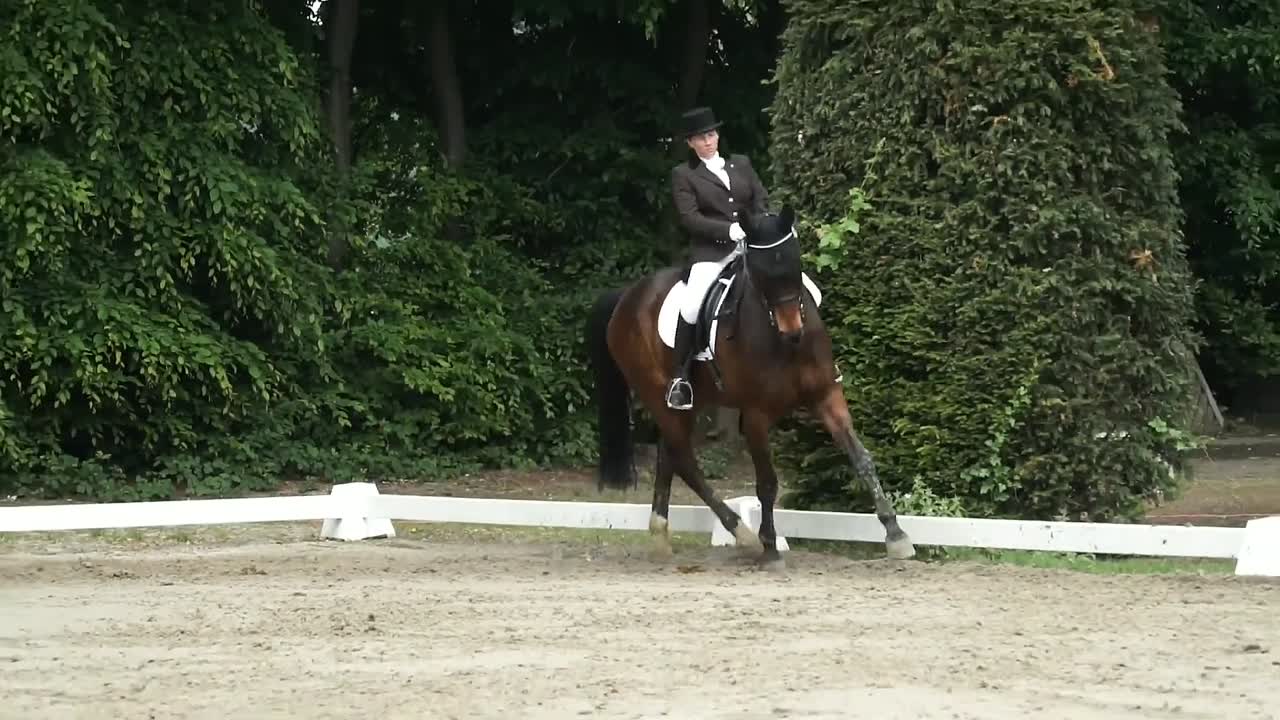 Grundsitz und Schenkelhilfen des Reiters (1080p_30fps_H264-128kbit_AAC)