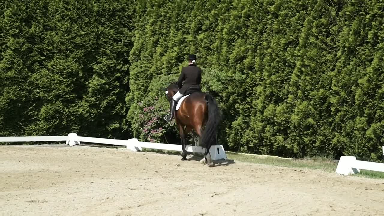 Hinterhandwendung, Kurzkehrtwendung, Schrittpirouette (1080p_30fps_H264-128kbit_AAC)