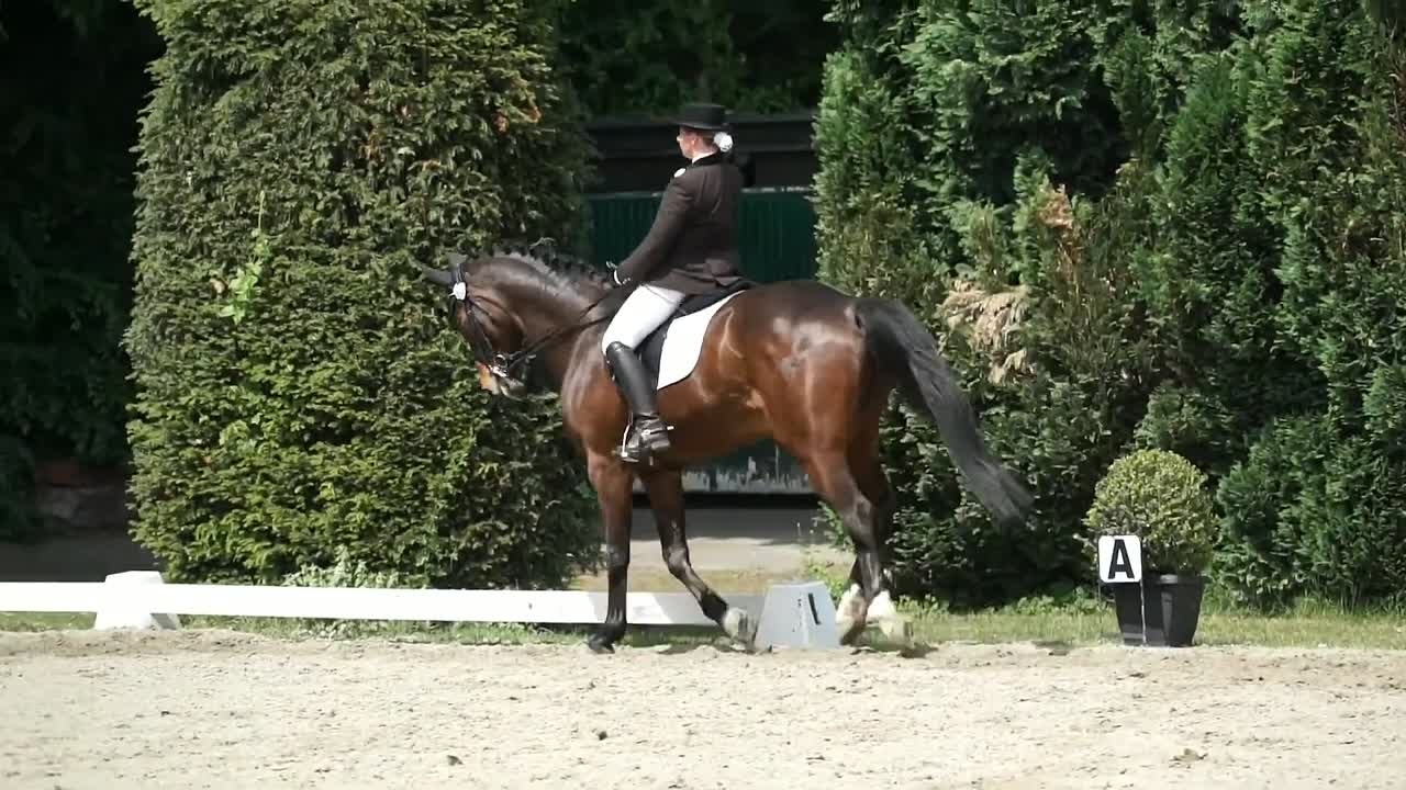 Halbe und ganze Paraden (1080p_30fps_H264-128kbit_AAC)