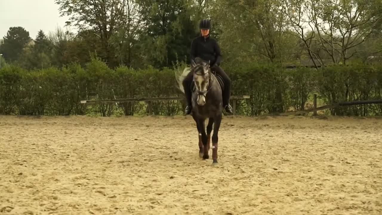 Jungpferdeausbildung - Aufbau der Reitstunde (1080p_30fps_H264-128kbit_AAC)