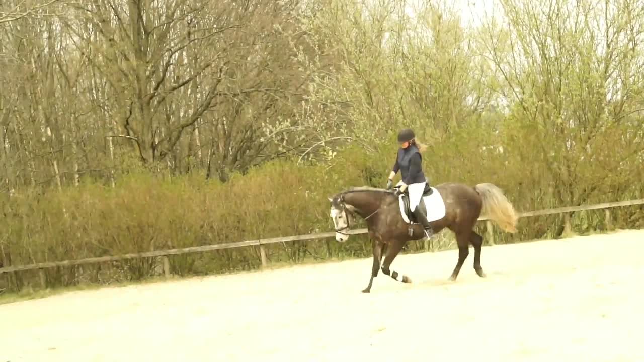 Jungpferdeausbildung- Wie lernt ein Pferd¿ (1080p_30fps_H264-128kbit_AAC)