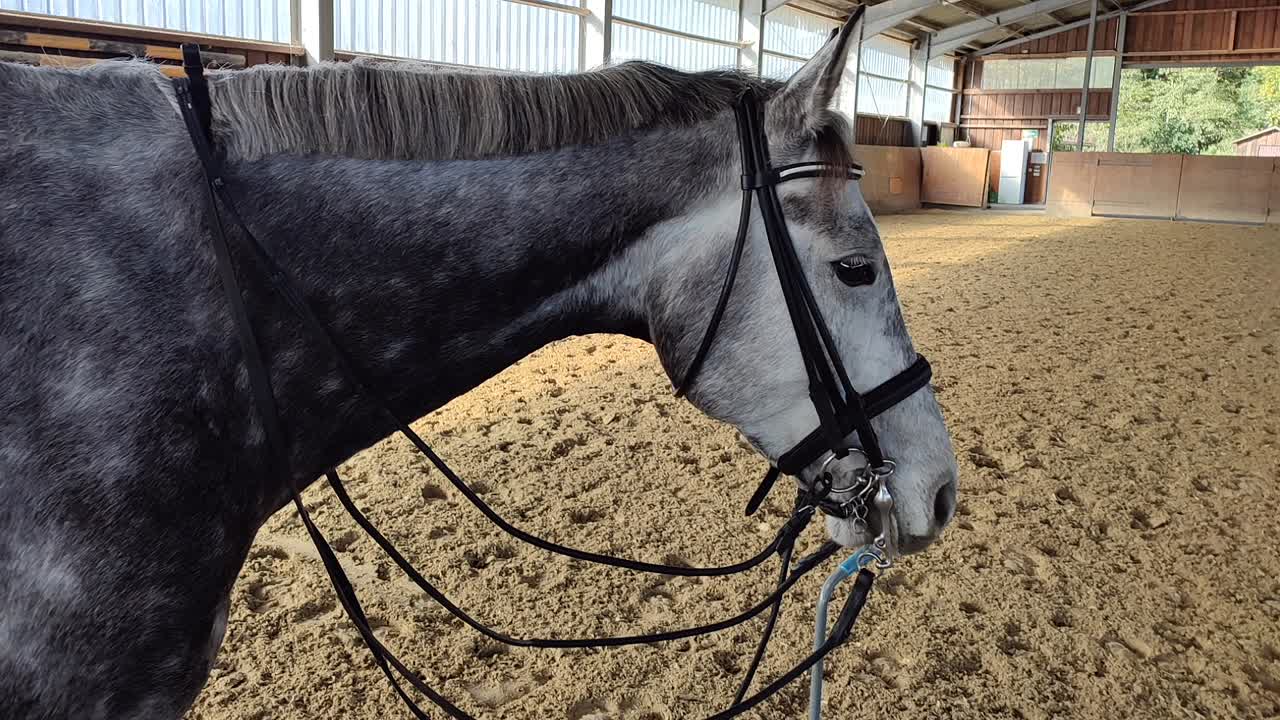 Kandare (1080p_30fps_H264-128kbit_AAC)