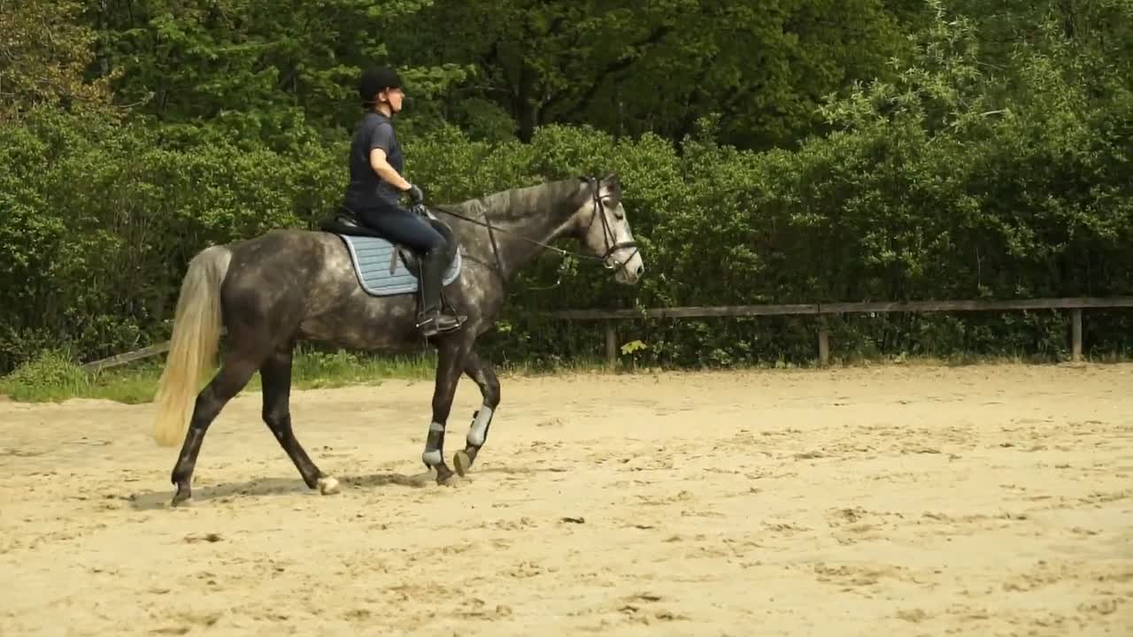 Körpercheck für Reiter (1080p_30fps_H264-128kbit_AAC)