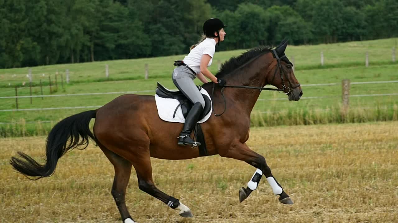 Leichttraben (1080p_30fps_H264-128kbit_AAC)