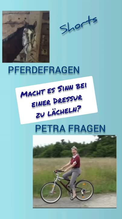 Macht es Sinn bei einer Dressur zu lächeln¿ (1920p_30fps_H264-128kbit_AAC)